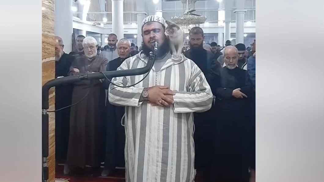 L’imam algérien Walid Mahsas est resté imperturbable et a même caressé le chat venu l’importuner gentillement durant la prière (Capture d’écran) 