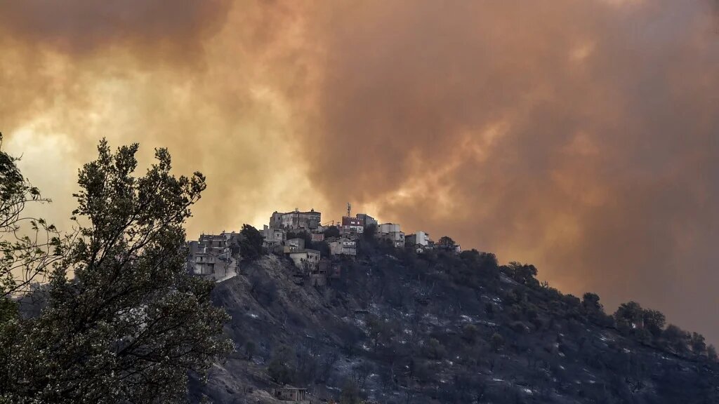 Depuis 2021, la Kabylie est chaque année ravagée par de terribles feux de forêts (AFP/Ryad Kramdi)