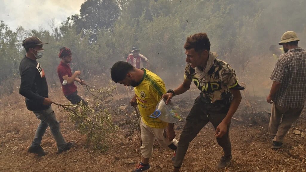 Des volontaires tentent de lutter contre les incendies en Kabylie, à l’est d’Alger, le 12 août 2021 (AFP/Ryad Kramdi)