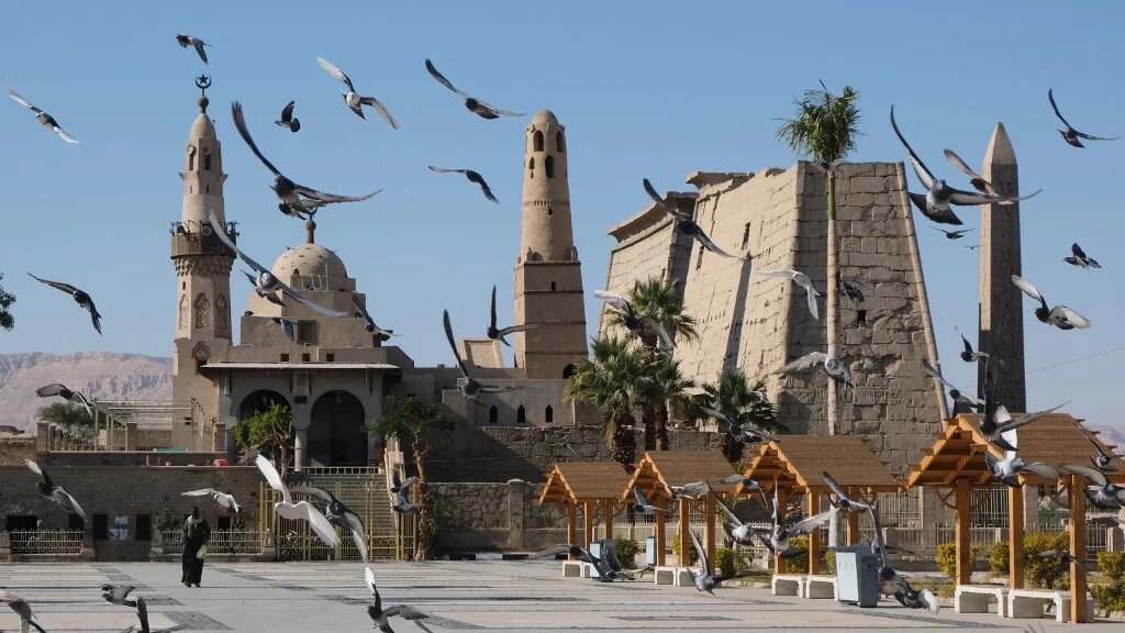 Pigeons fly in the square outside the Luxor Temple and al-Haggag Mosque in Egypt's southern city of Luxor on 20 January, 2022 (AFP)
