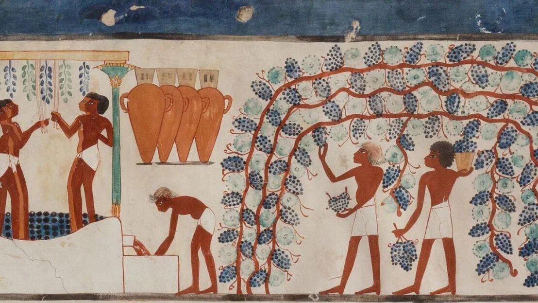 Des détails du côté nord du mur ouest de la chapelle d’offrande de Nakht montrent la vendange du raisin pour faire du vin (The Metropolitan Museum of Art)