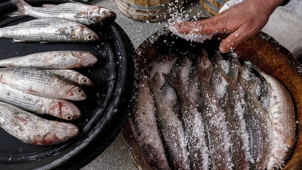 Préparation du fessikh chez un marchand de poisson à Nabourah, dans le nord de l’Égypte, le 11 avril 2023 (AFP/Khaled Desouki)