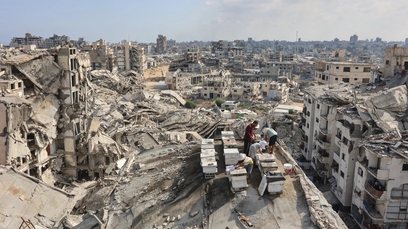 A beekeeper tends to beehives with his sons on the roof of a destroyed building in Gaza City’s Tel al-Hawa neighbourhood on 5 August 2026 (Omar al-Qattaa/AFP)
