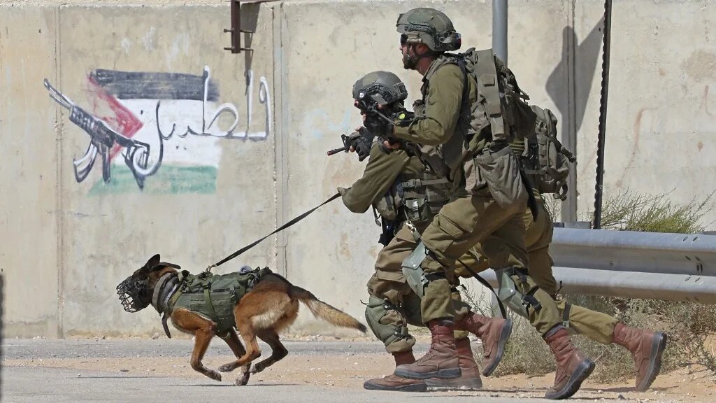 Les soldats qui participent à cet exercice sont membres de la brigade Golani (en photo), une unité d’infanterie d’élite, engagée régulièrement dans les territoires occupés palestiniens (AFP/Jack Guez)