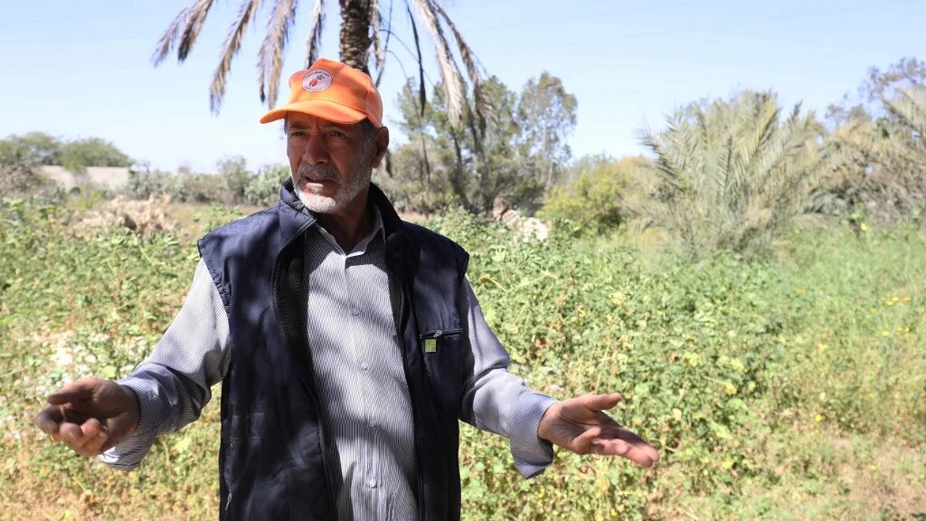 Khalifa Ramadan, le fondateur du groupe de bénévoles « Les amis de l’arbre », dans sa ferme de Tajura, une banlieue est de la capitale Tripoli (AFP/Mahmoud Turkia) 