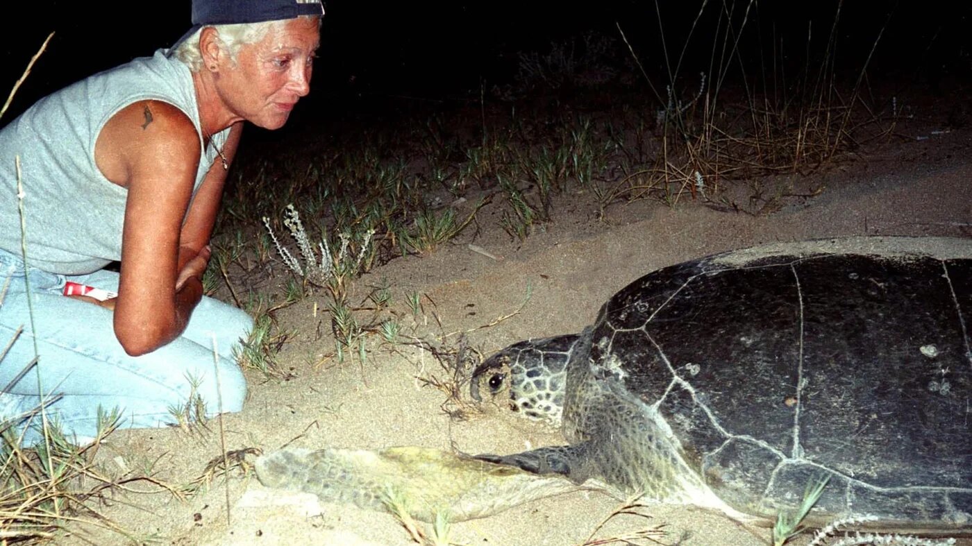  Mona Khalil, a Lebanese ecologist activist, looks at a turtle at a coast in the southern Lebanese port city of Tyre on 12 August 2002 (Jihad Seqlawi/AFP)