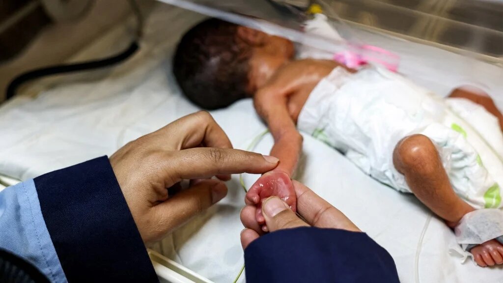 A medical worker checks the pulse of a prematurely born baby lying in an infant incubator in Khan Younis, Gaza, on 13 January 2025 (Bashar Taleb/AFP)