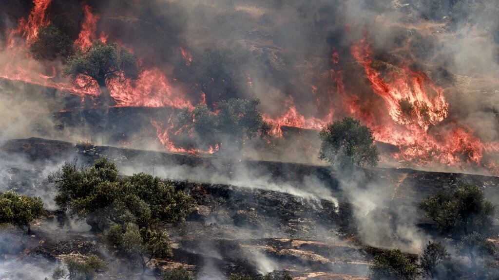 A fire blazes in an olive grove in the village of Salem, in the occupied West Bank, after an Israeli settler attack on 25 May 2025 (Jaafar Ashtiyeh/AFP)