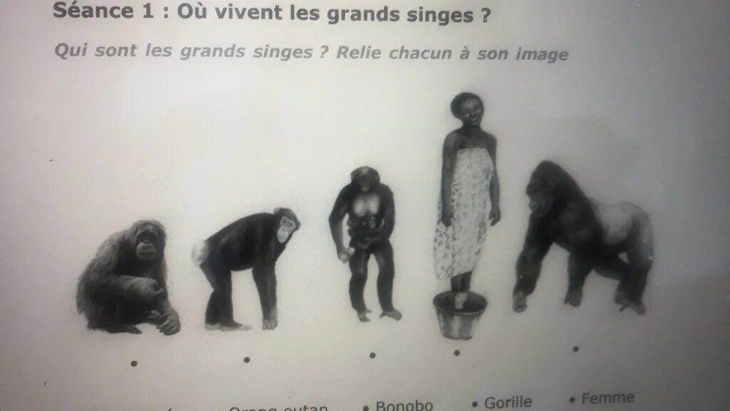 L’auteur du manuel d’où a été extraite la ressource éducative controversée indique qu’elle a été produite au Gabon pour les élèves des écoles locales afin de les accompagner à la protection des grands singes et de leur environnement (Twitter)