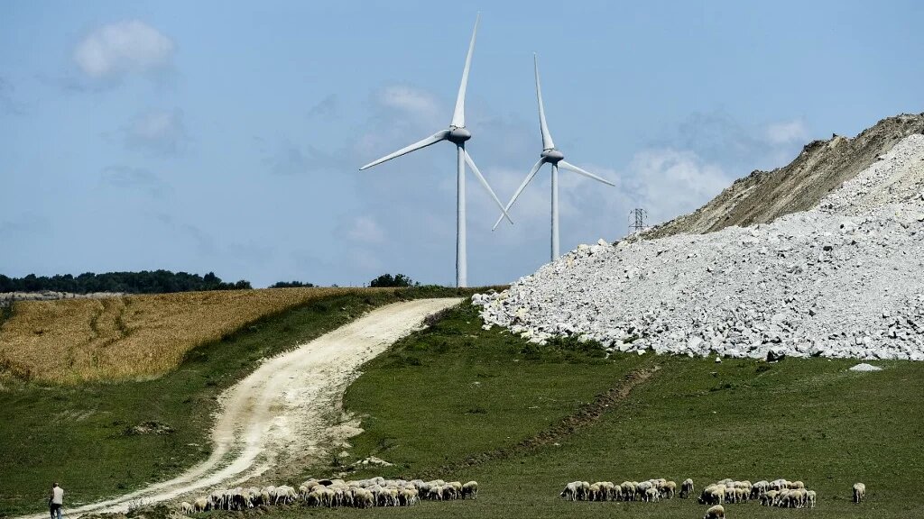 Sheep graze on June 12, 2018, at the small coastal village of Karaburun, near Istanbul near the windmills (AFP)