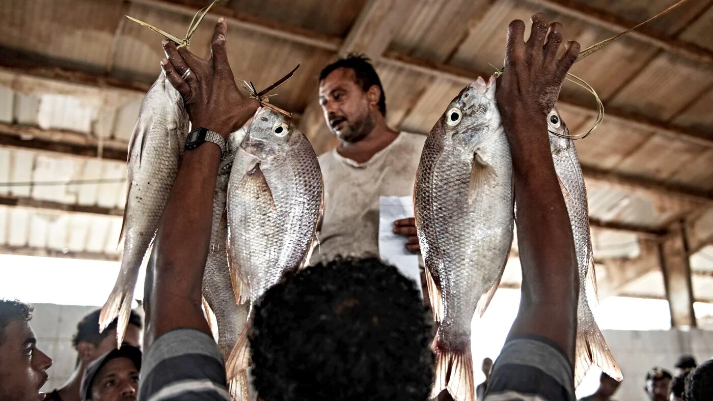 Fish market in Hodeidah, Yemen (Alessio Romenzi)