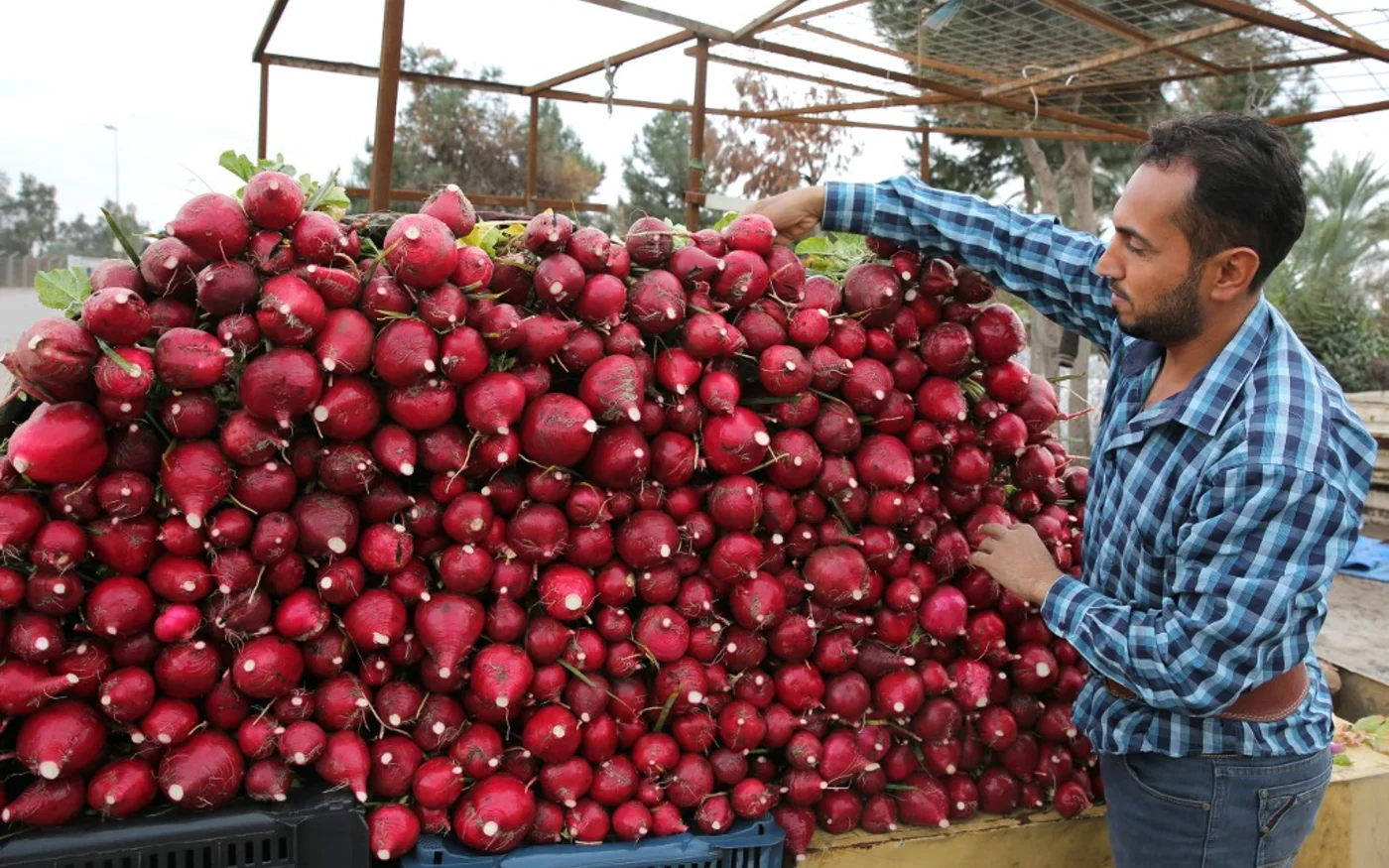 En Irak, un tiers de la population vit de l’agriculture (AFP)