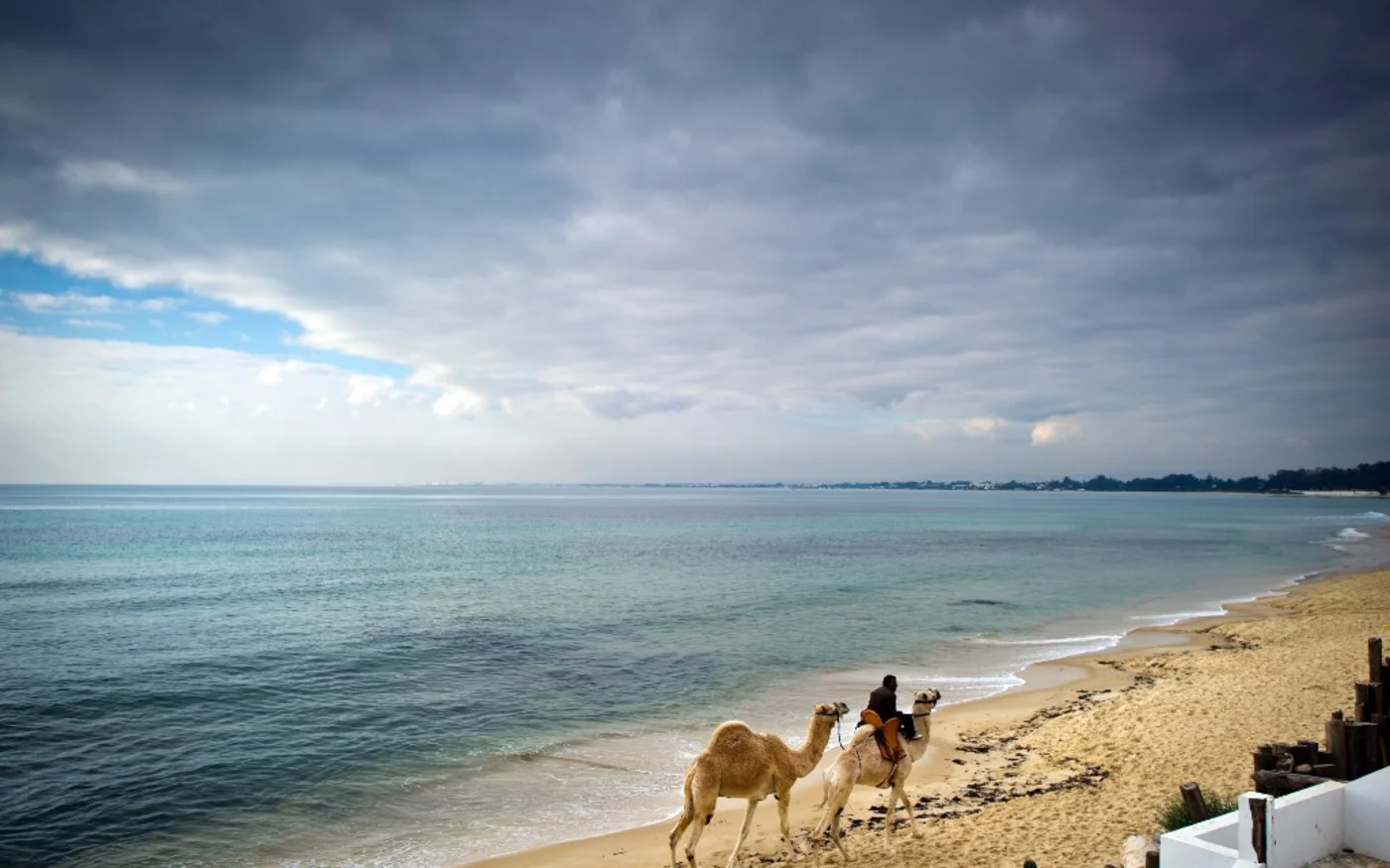 Un homme marche avec ses chameaux le long de la plage d’Hammamet (AFP)