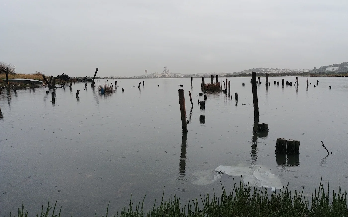 Treize ans après la signature de la convention entre Sama Dubaï et l’État tunisien, les travaux au Lac sud n'ont toujours par commencé (MEE/Mathieu Galtier)