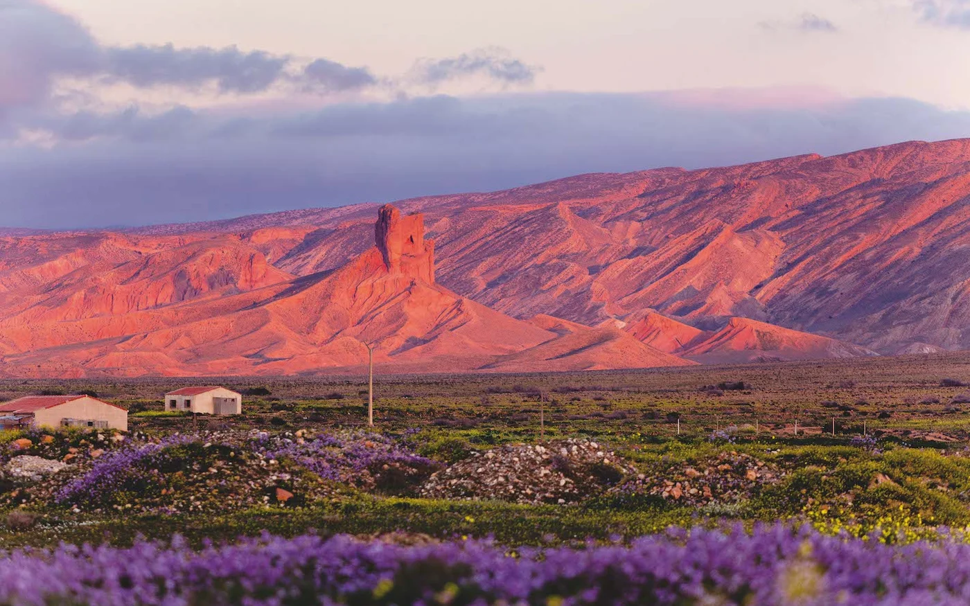 Paysage printanier à la sortie d’El-Kantara sur la route de Biskra (Kays Djilali, avec l’aimable autorisation des éditions Chihab)