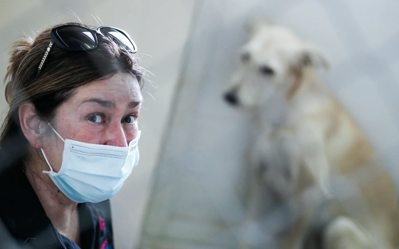Un responsable de l'organisation de protection des animaux Paws, est assis avec un chien errant, à Doha, le 14 juin 2020 (AFP)