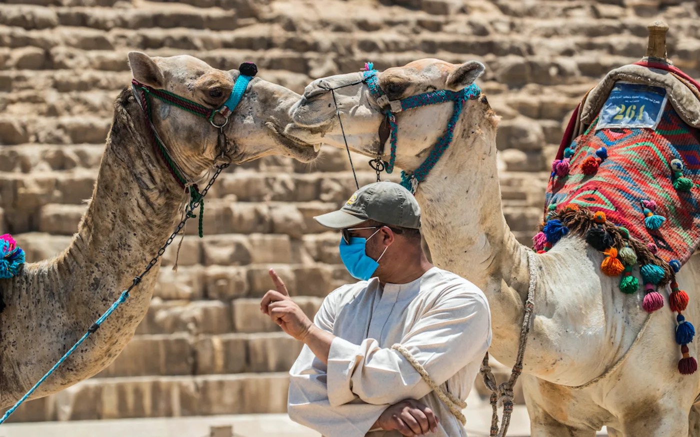 Un guide touristique se tient devant des chameaux, à la nécropole des Pyramides de Gizeh, en Égypte, le 1er juillet 2020 (AFP)