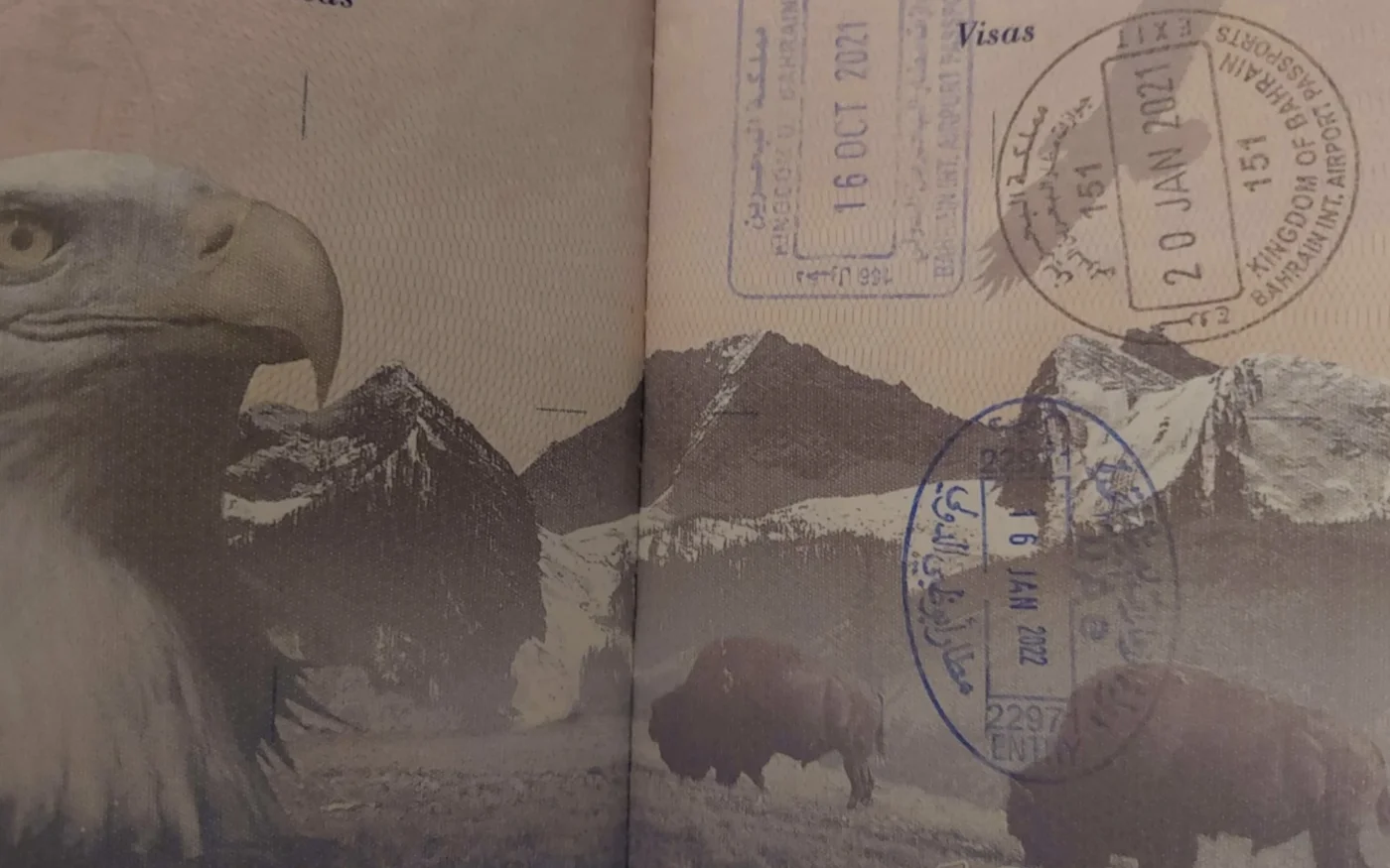 Visas tamponnés sur le passeport de Carly Morris, qui affirme pourtant ne pas avoir quitté le pays