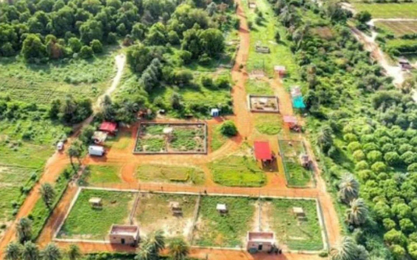 Le Sudan Animal Rescue Centre est à vingt minutes de route du centre de Khartoum (photo fournie)