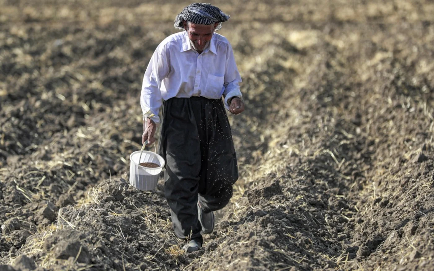 Un agriculteur kurde sème des graines dans un champ d’une ferme du district de Rania, près du barrage de Dukan au nord-ouest de la ville de Sulaimaniyah, dans le nord-est de l'Irak, le 2 juillet 2022 (AFP/Ahmad Al-Rubaye)