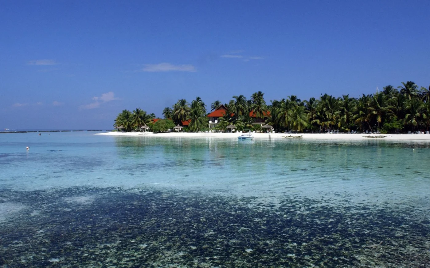 Ibn Battuta travailla comme juriste et épousa quatre femmes rien que lors de son passage aux Maldives (AFP/Sanka Vidanagama)