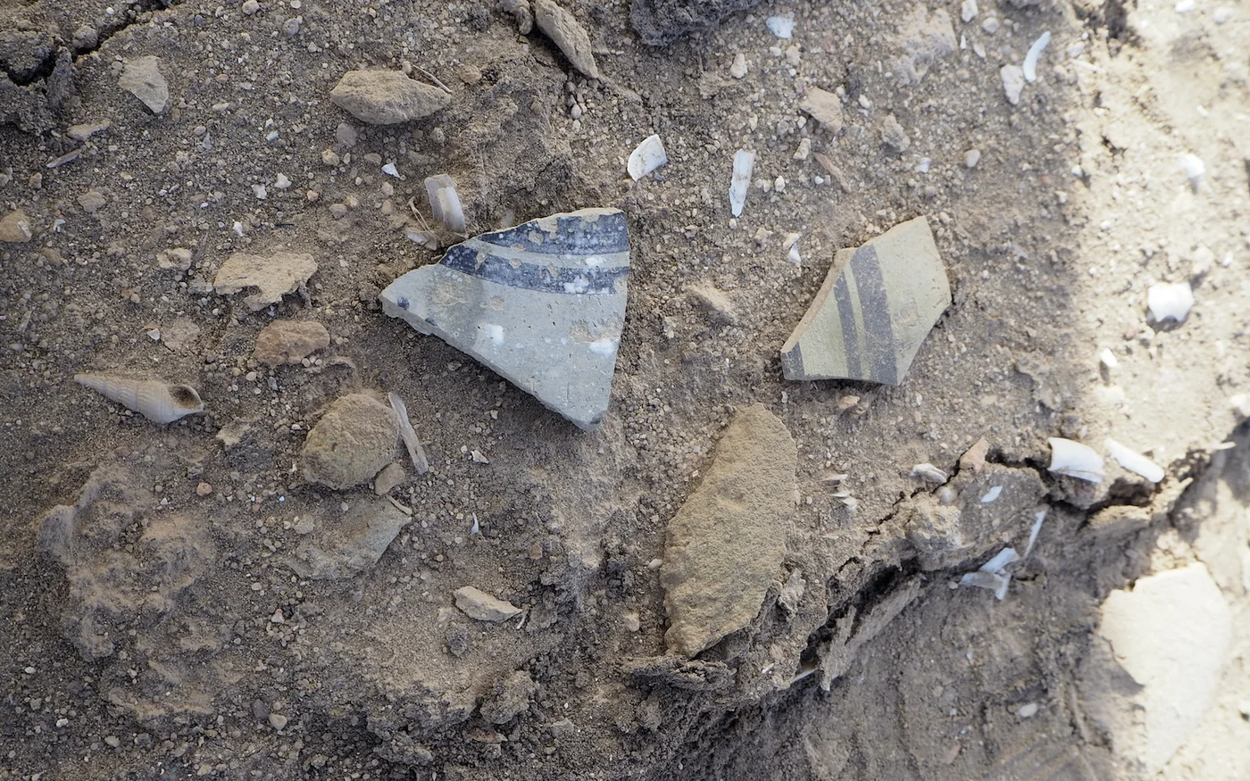 Pièces de poterie peintes sur le sol à Eridu (MEE/Tom Westcott)