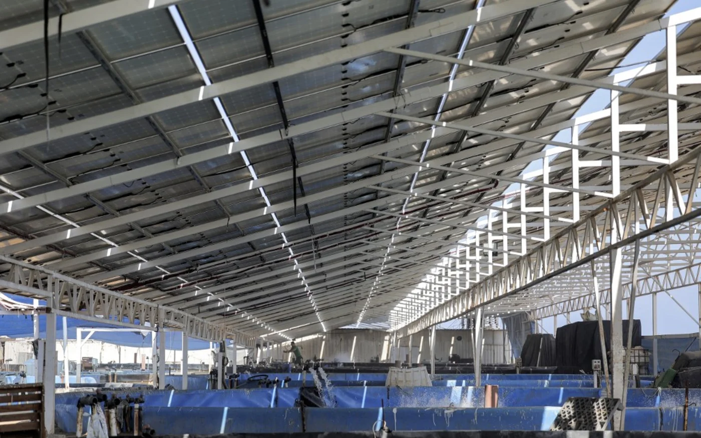La ferme solaire alimente un restaurant de poissons, qui est également utilisée pour abriter et fournir de l’oxygène aux bassins de poissons, à côté d’un champ agricole dans la ville de Gaza dans l’enclave palestinienne (AFP/Mohammed Abed)