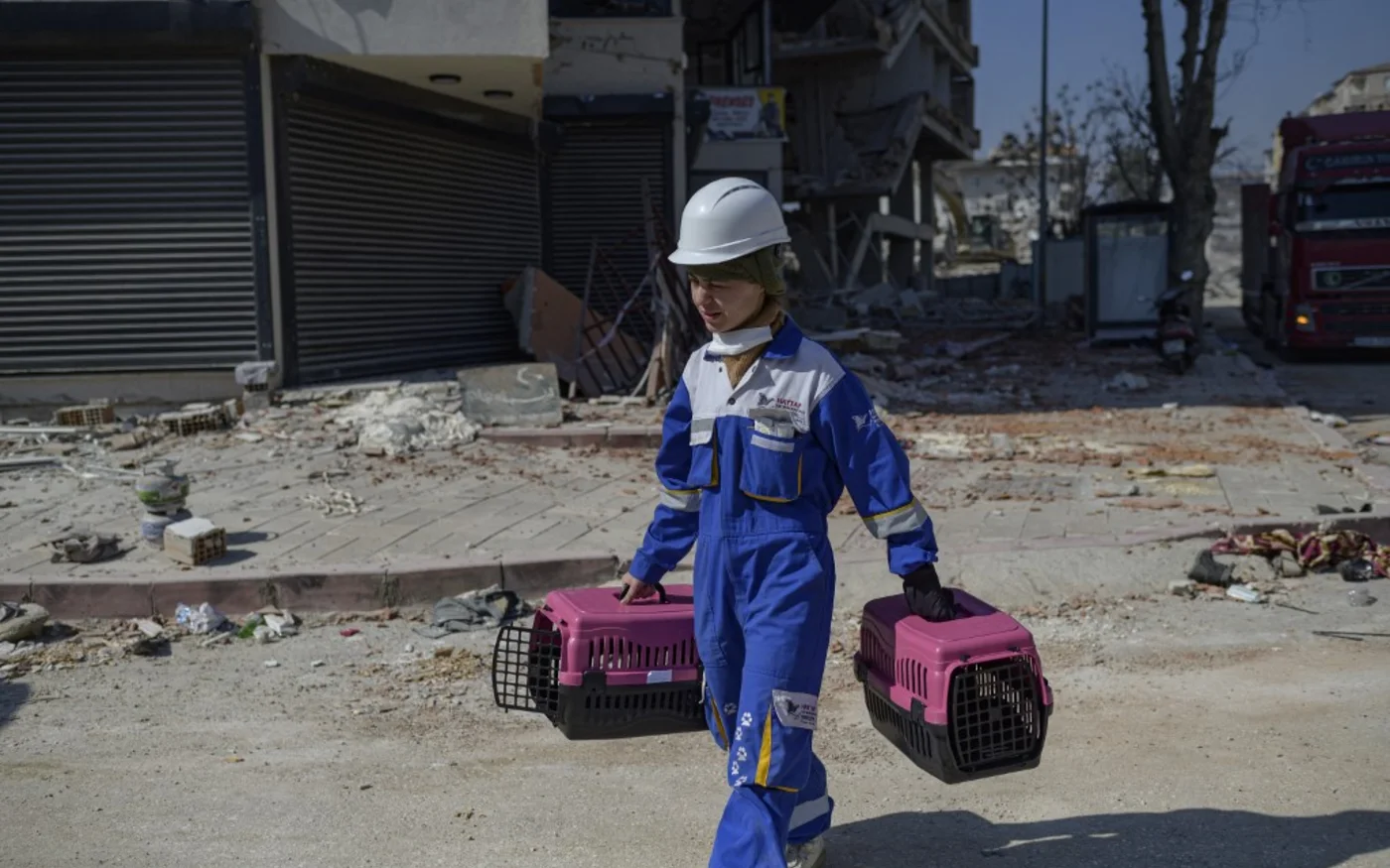 Une volontaire de l’ONG locale Haytap transporte deux cages afin d’attraper des chats à Antakya, au sud de la Turquie, où de nombreux animaux sont piégés dans les décombres après le séisme, le 18 février 2023 (AFP/Yasin Akgul)