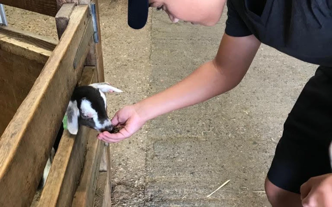 When Akram visited me in the UK, he did all the things that children should be able to do (supplied)