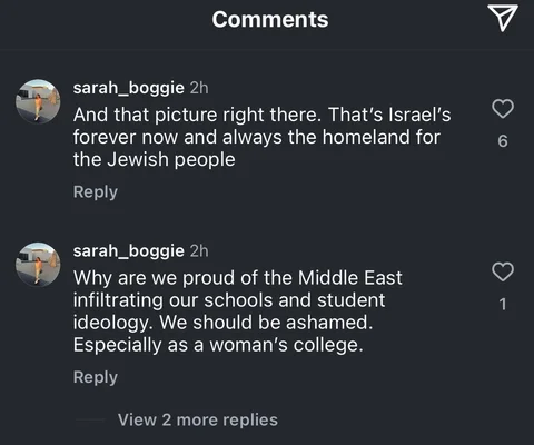 Comments from social media users who were offended by Barnard's Instagram post.