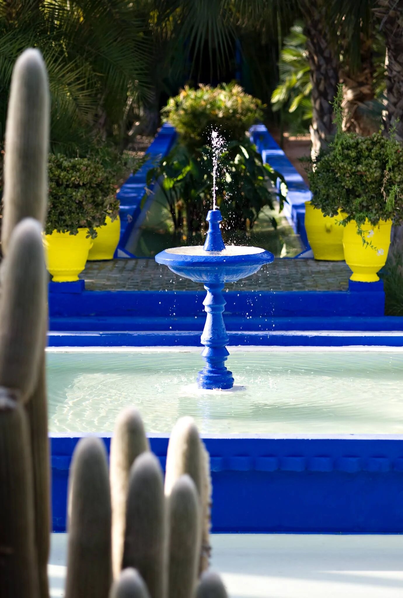 Le jardin Majorelle à Marrakech (Facebook/@jardinmajorelleofficiel)