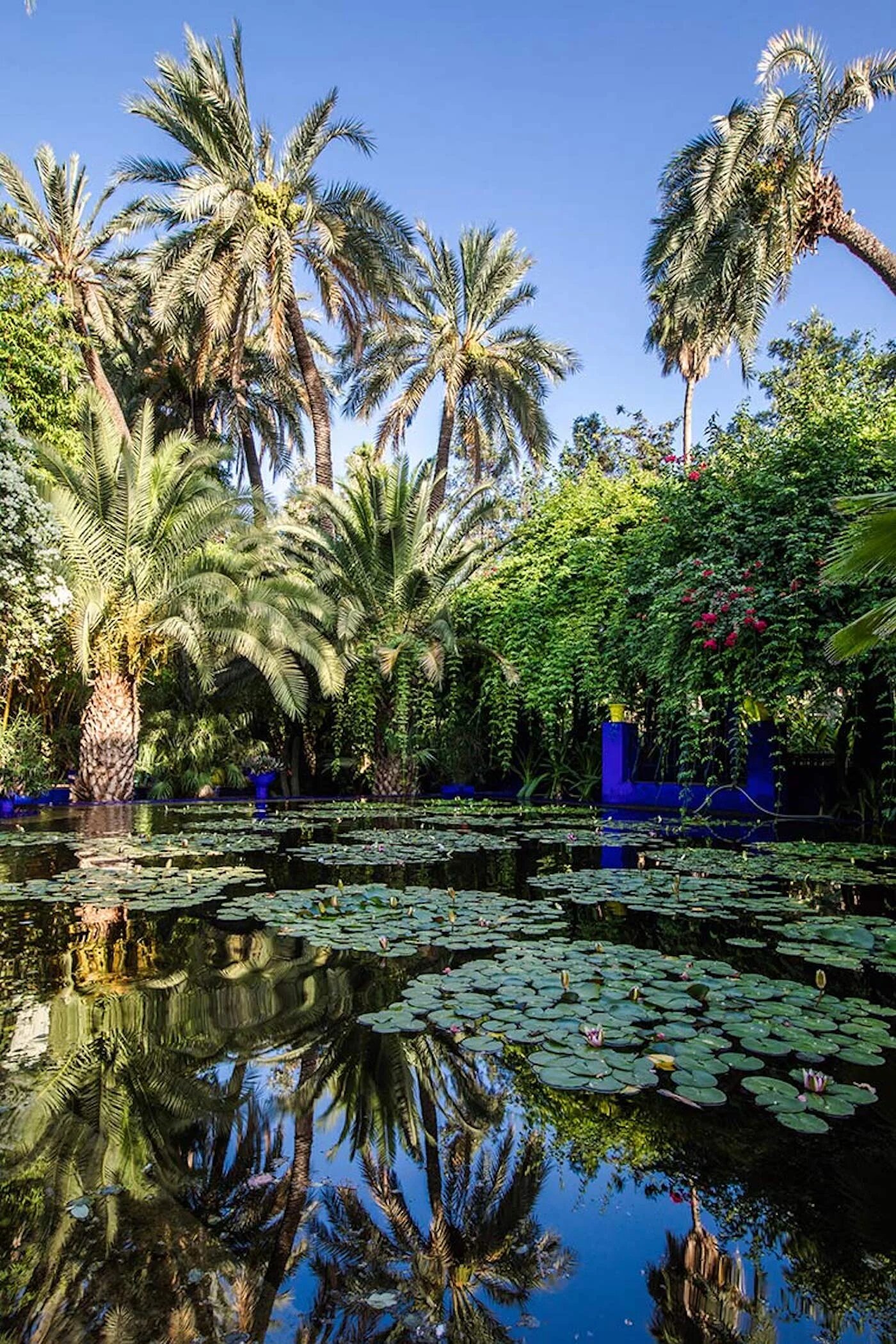 Le jardin Majorelle à Marrakech (Facebook/@jardinmajorelleofficiel)