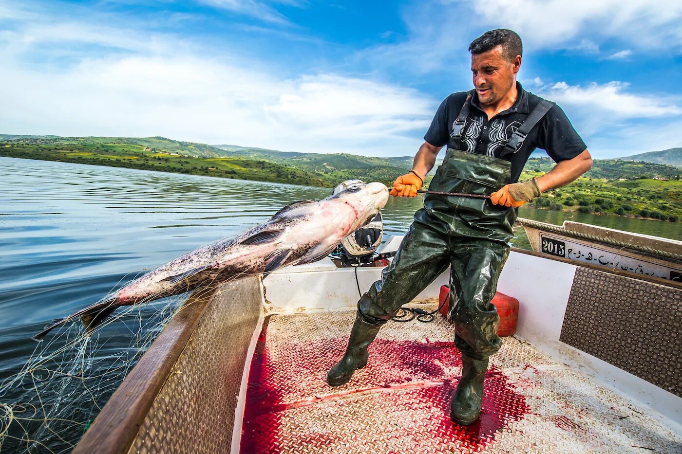 Barrage de Beni Haroun