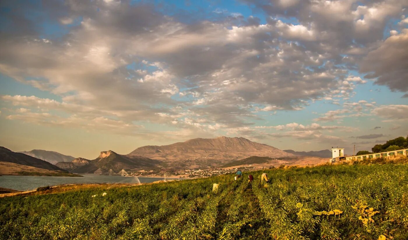 Barrage de Beni Haroun (Nadjib Barkat)