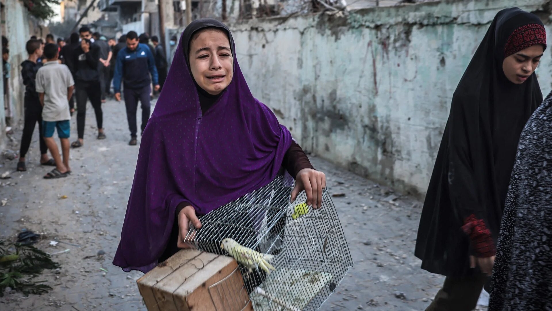 A girl carrying a bird cage reacts as people flee following an Israeli strike in Rafah in the southern Gaza Strip on 23 November (AFP)