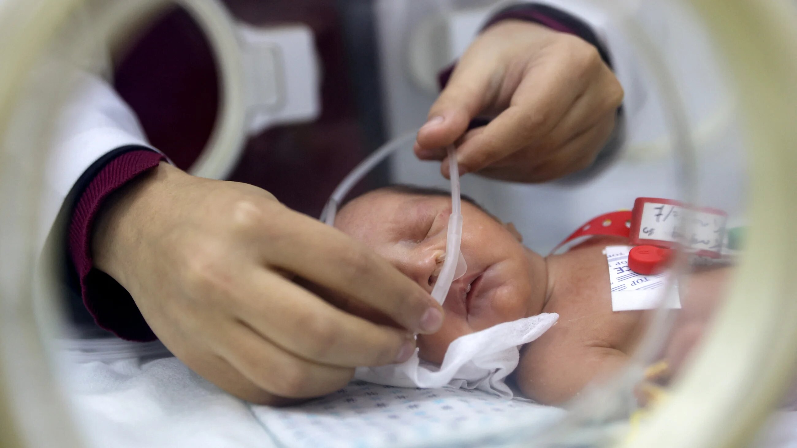 A premature infant receives care while lying in an incubator at the neonatal intensive care unit at the Patient Friend's Benevolent Society hospital in Gaza City on 25 February 2025 (AFP/Omar al-Qattaa)