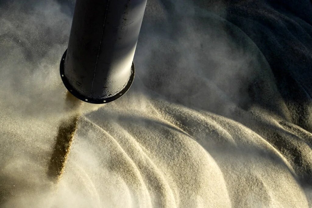 Ukraine has accused Russia of stealing grain from the territories that Russian forces have seized since Moscow's invasion began in late February (AFP)