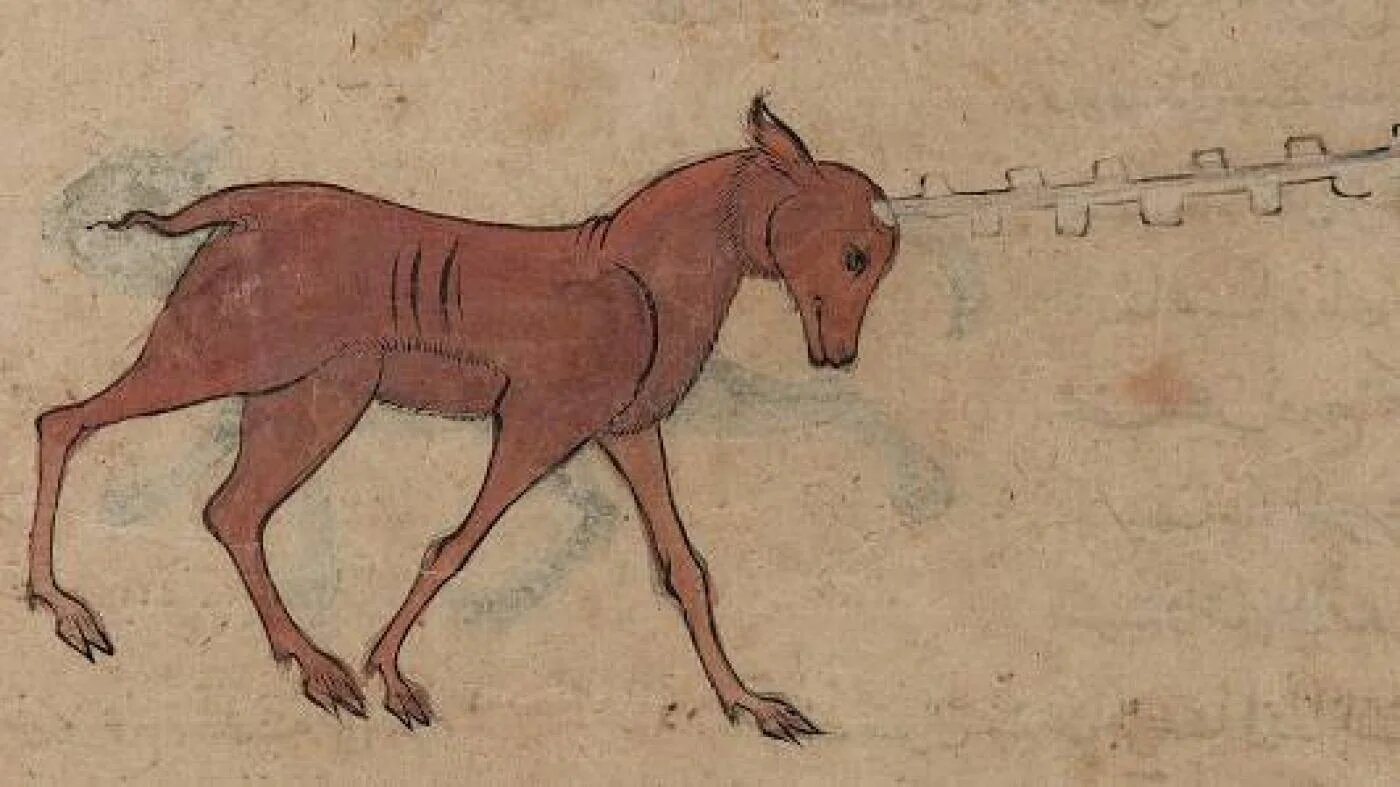 Le mythique shâdhavâr parcourait la Terre avec sa corne semblable à une flûte qui enchantait tous ceux qui l’entendaient (Wikimedia/Otmane Mjahed)