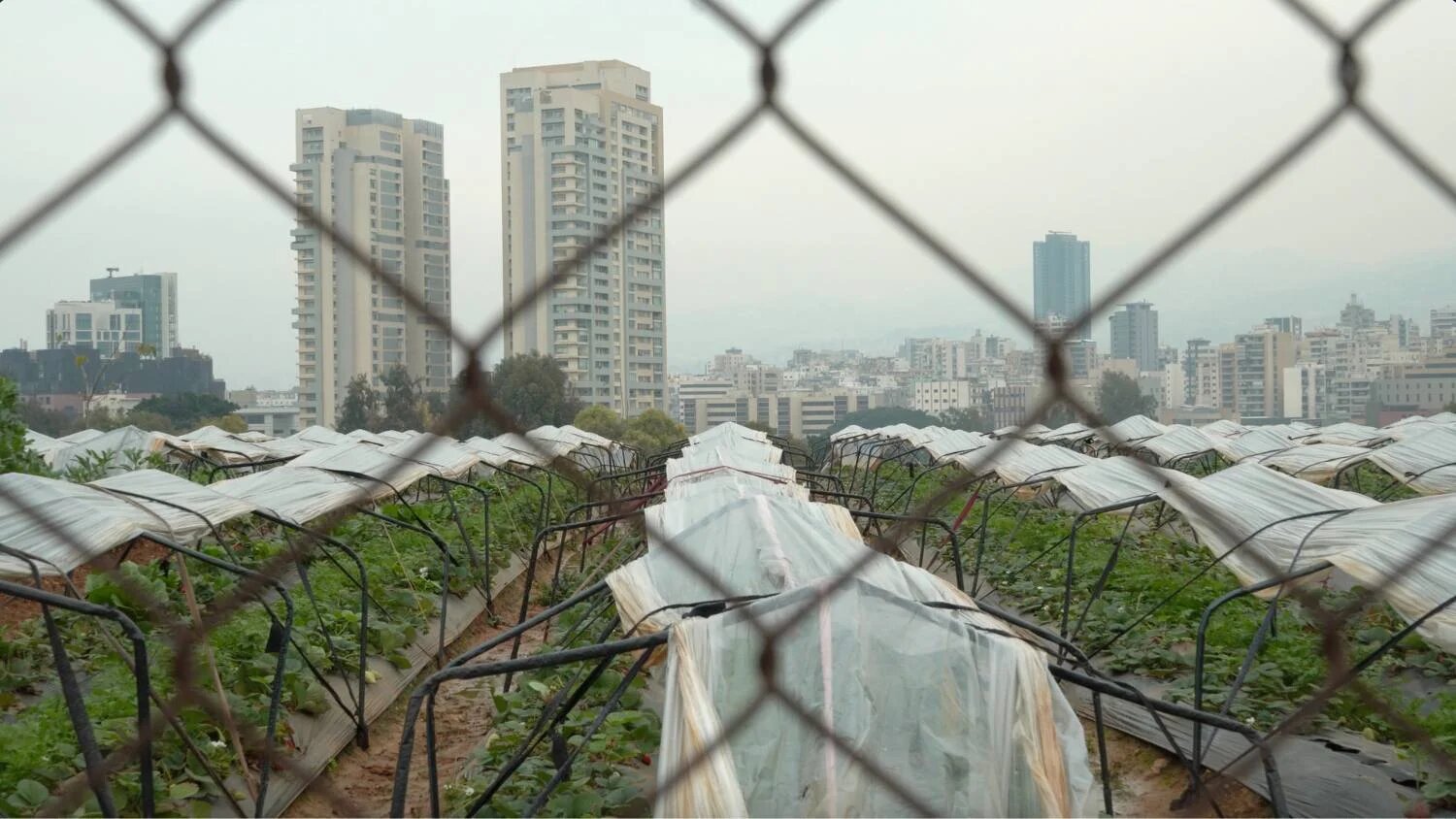 Lebanon's civil war killed more than 120,000 people (Iterations Film)