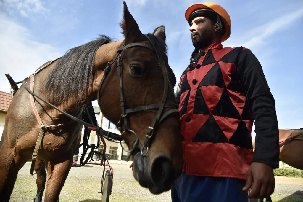 Après l’indépendance, les activités équestres – la fantasia, le horse-ball et le concours hippique notamment – ont connu un essor remarquable jusque dans les années 1980 (AFP/Ryad Kramdi)