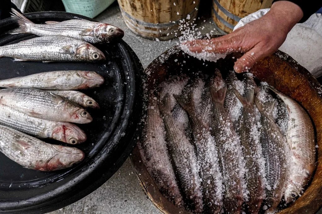 Préparation du fessikh chez un marchand de poisson à Nabourah, dans le nord de l’Égypte, le 11 avril 2023 (AFP/Khaled Desouki)