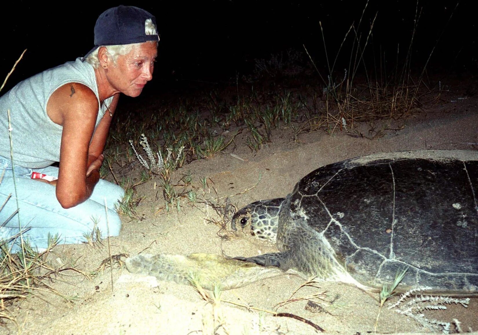  Mona Khalil, a Lebanese ecologist activist, looks at a turtle at a coast in the southern Lebanese port city of Tyre on 12 August 2002 (Jihad Seqlawi/AFP)