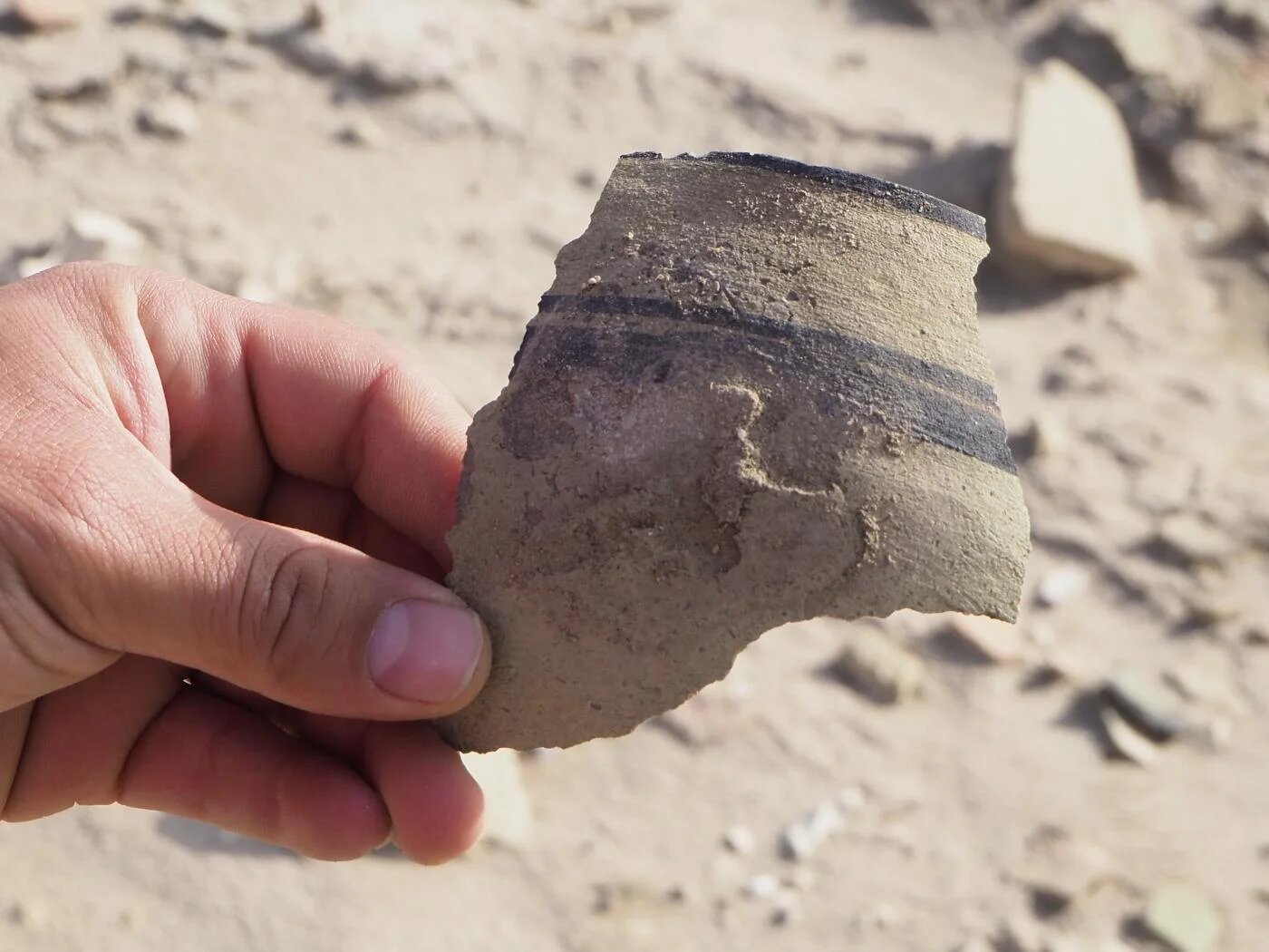 Un tesson de poterie trouvé sur le sol à Eridu (Irak), longtemps considérée comme la première ville de Basse-Mésopotamie (MEE/Tom Westcott)