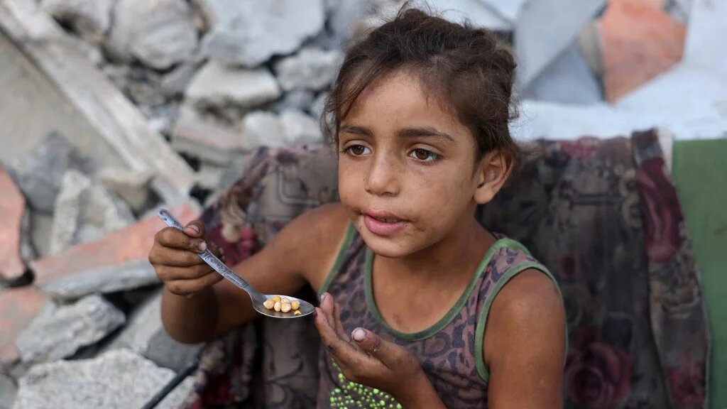 A displaced Palestinian girl eats chickpeas in northern Gaza on 24 August 2025 (Bashar Taleb/AFP)