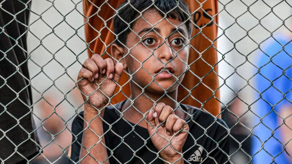 A boy watches from behind a fence as bodies of people killed in an Israeli bombardment arrive at a medical complex in Khan Younis, Gaza, on 5 July 2024 (Bashar Taleb/AFP)