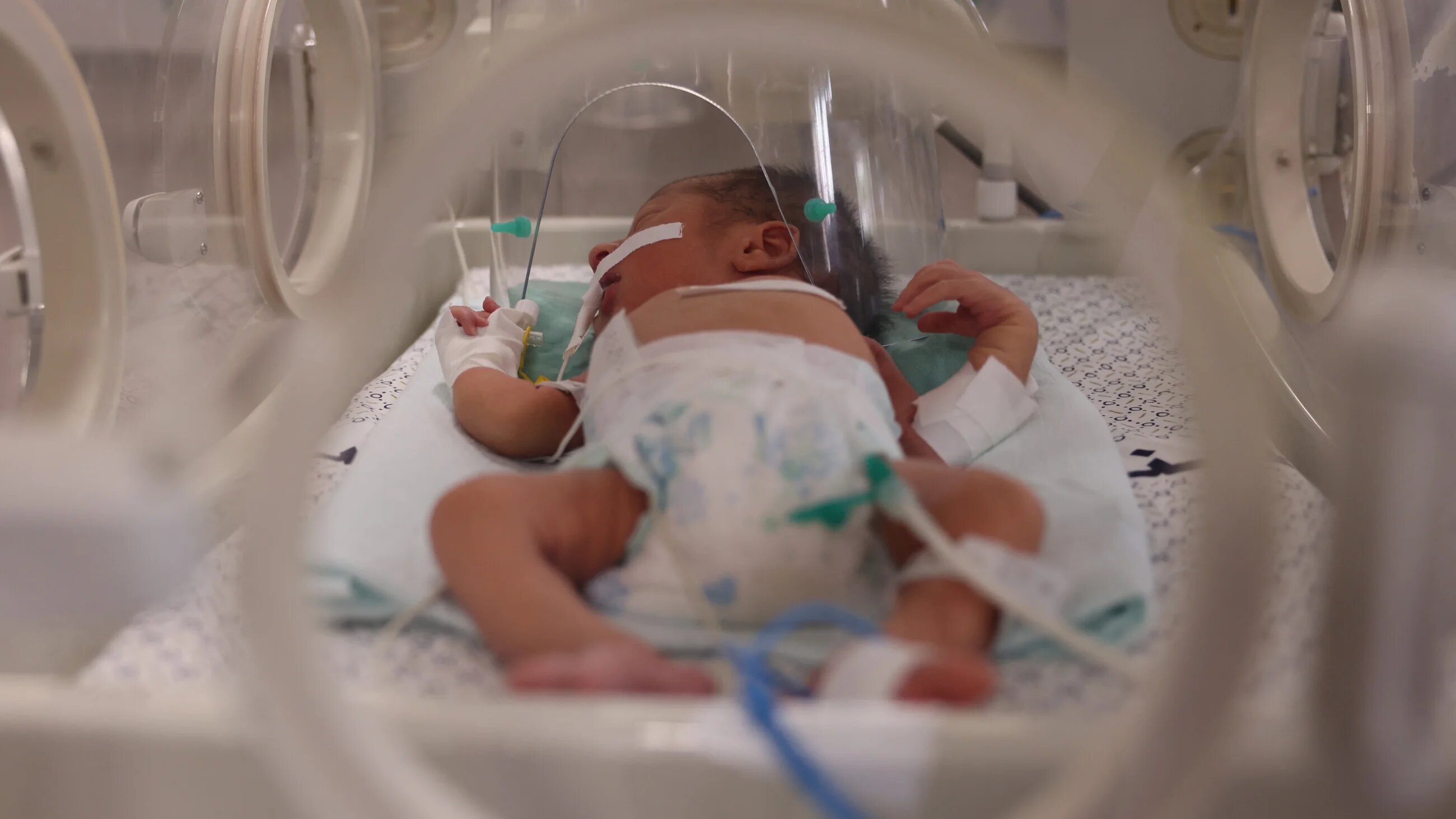 A newborn infant inside an incubator at a neonatal intensive care unit at al-Shifa hospital in Gaza City, 29 September 2022 (AFP/Mohammed Abed)