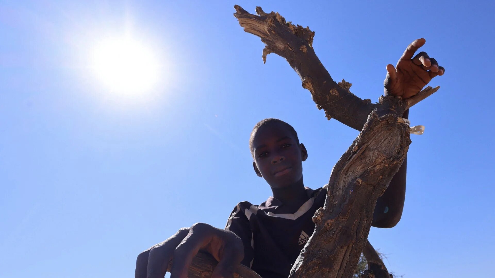 A a Sudanese refugee boy from el-Fashir poses next a tree inside the Tine transit refugee camp in eastern Chad, 23 November 2025 (Reuters/Amr Abdallah Dalsh)
