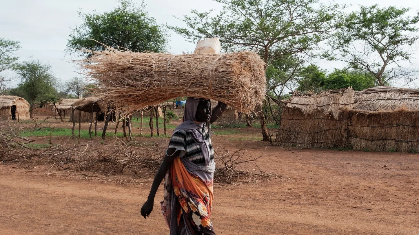 A woman carries a bundle of dried reeds to build a shelter as she walks through the Tiamushro camp for internally displaced persons in Kadugli, Sudan, on 18 June 2024 (AFP)