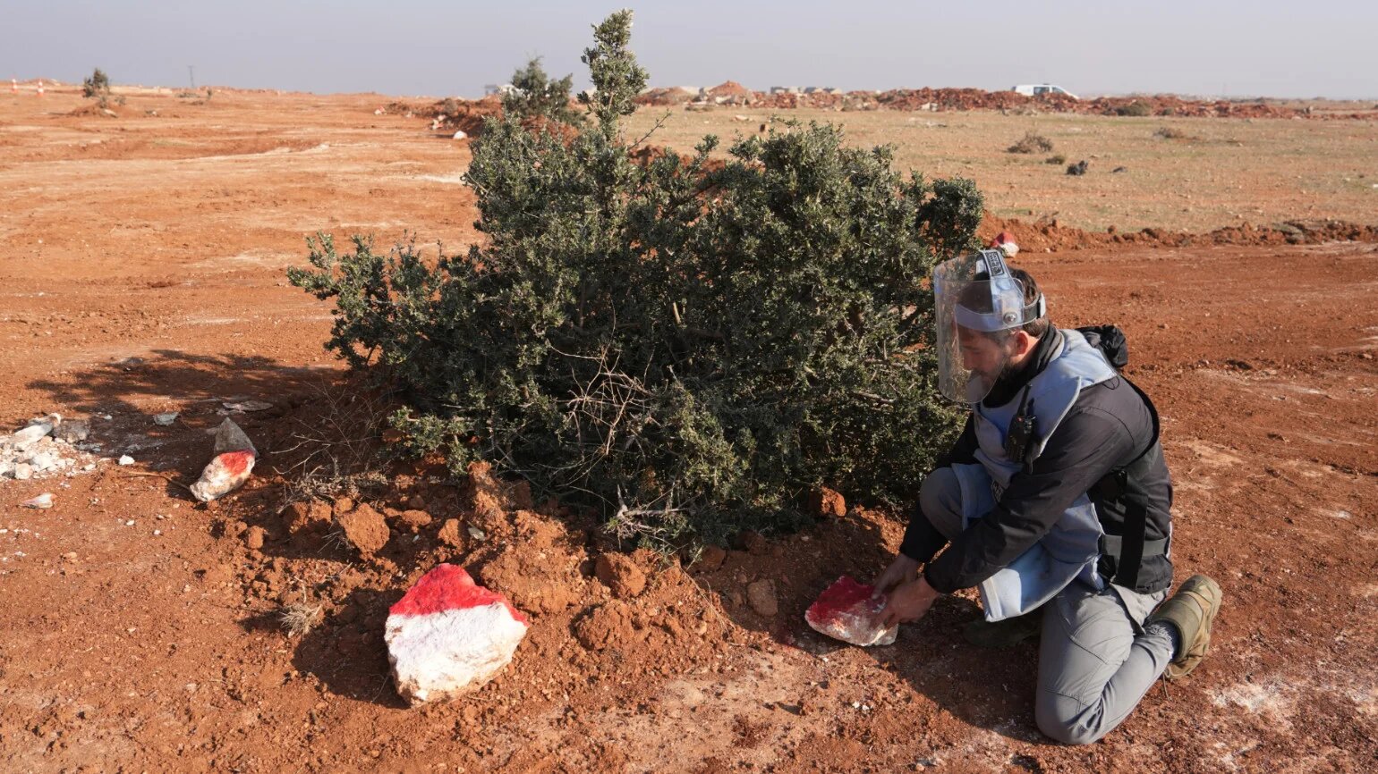 A member of the Halo Trust NGO works on clearing mines from a field in the town of Musibin in Syria's Idlib province on 19 December 2024 (AFP)
