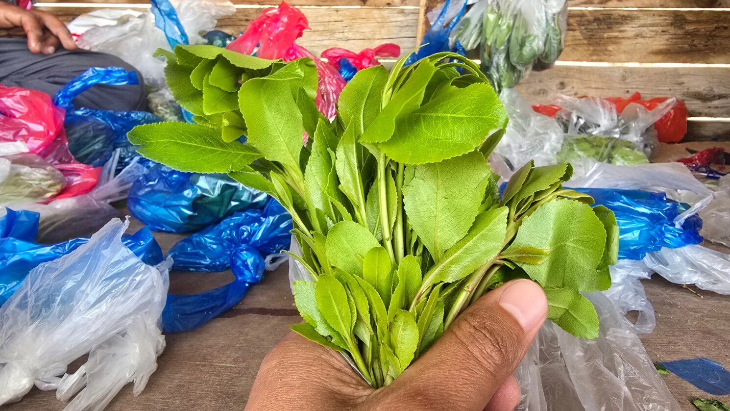 Qat is a stimulant leaf classified as an illegal drug in Saudi Arabia (MEE)